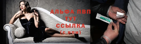 дживик Вяземский