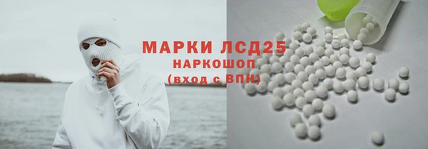 ПСИЛОЦИБИНОВЫЕ ГРИБЫ Тайга