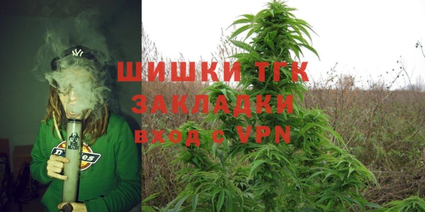 ПСИЛОЦИБИНОВЫЕ ГРИБЫ Тайга