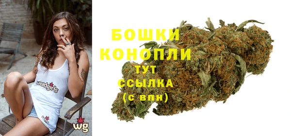 ПСИЛОЦИБИНОВЫЕ ГРИБЫ Тайга