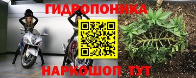 бошки Славянск-на-Кубани