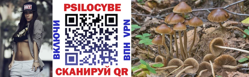 ОМГ ОМГ ссылки  Челябинск  маркетплейс наркотические препараты  Галлюциногенные грибы мицелий 