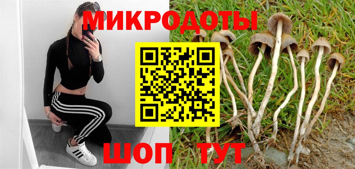 хочу   Псилоцибиновые грибы Psilocybine cubensis  Вход с VPN  Челябинск  Галлюциногенные грибы Psilocybine cubensis 