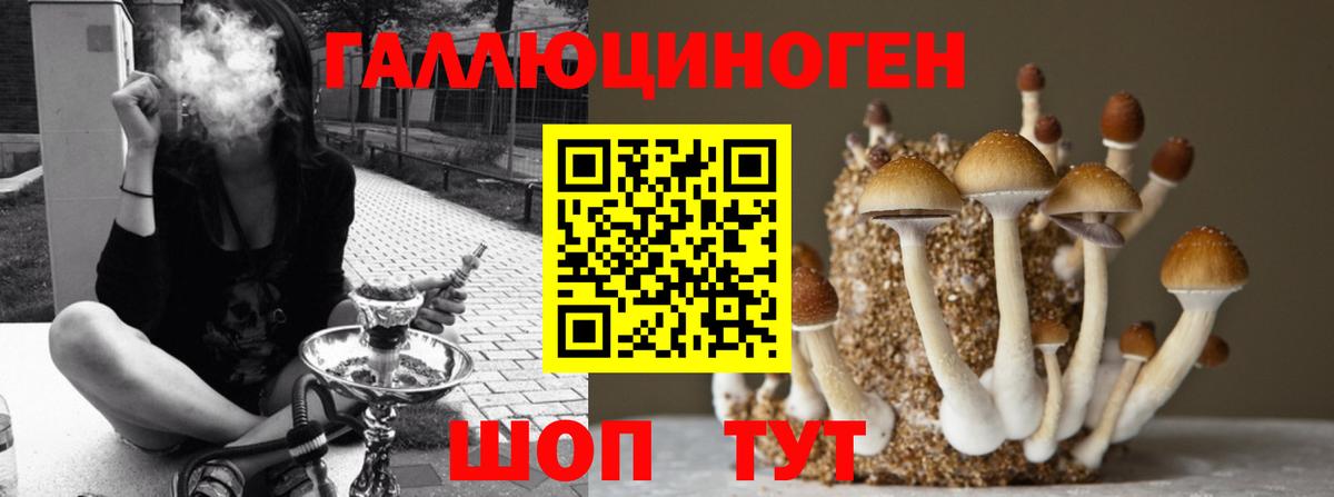 Псилоцибиновые грибы ЛСД Челябинск